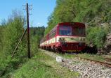 Verbrennungstriebwagen und -züge