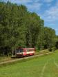 Diesel multiple units and railcars