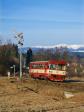 Verbrennungstriebwagen und -züge