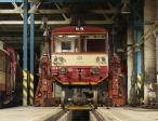 Diesel multiple units and railcars