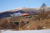 Verbrennungstriebwagen und -züge
