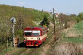 Diesel multiple units and railcars