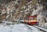 Verbrennungstriebwagen und -züge