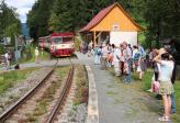 Diesel multiple units and railcars