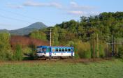 Verbrennungstriebwagen und -züge