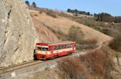 Diesel multiple units and railcars