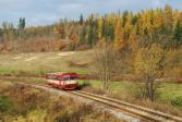 Verbrennungstriebwagen und -züge