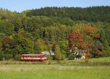 Diesel multiple units and railcars