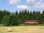 Diesel multiple units and railcars