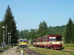 Verbrennungstriebwagen und -züge