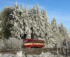 Diesel multiple units and railcars