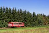 Diesel multiple units and railcars