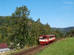 Diesel multiple units and railcars