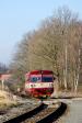 Verbrennungstriebwagen und -züge