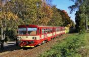 Diesel multiple units and railcars