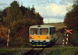 Diesel multiple units and railcars