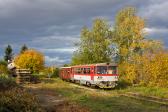 Verbrennungstriebwagen und -züge