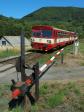 Diesel multiple units and railcars