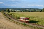 Diesel multiple units and railcars