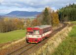 Diesel multiple units and railcars