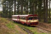 Diesel multiple units and railcars