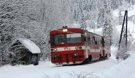 Verbrennungstriebwagen und -züge