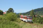 Diesel multiple units and railcars