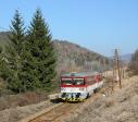 Diesel multiple units and railcars