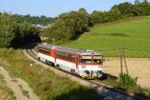 Diesel multiple units and railcars