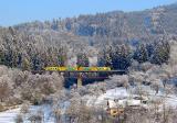 Diesel multiple units and railcars
