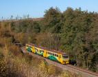 Diesel multiple units and railcars