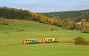 Diesel multiple units and railcars