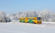 Diesel multiple units and railcars