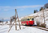 Diesel multiple units and railcars