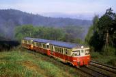 Diesel multiple units and railcars