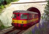 Diesel multiple units and railcars