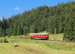 Verbrennungstriebwagen und -züge
