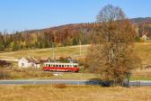 Diesel multiple units and railcars
