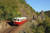 Diesel multiple units and railcars