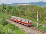 Verbrennungstriebwagen und -züge