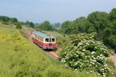 Verbrennungstriebwagen und -züge