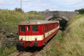 Diesel multiple units and railcars
