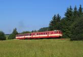 Verbrennungstriebwagen und -züge