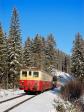 Diesel multiple units and railcars