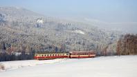 Diesel multiple units and railcars