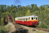 Verbrennungstriebwagen und -züge