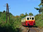 Verbrennungstriebwagen und -züge