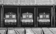 Diesel multiple units and railcars