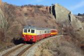 M 262.1212 + M 262.0180