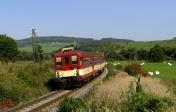Verbrennungstriebwagen und -züge